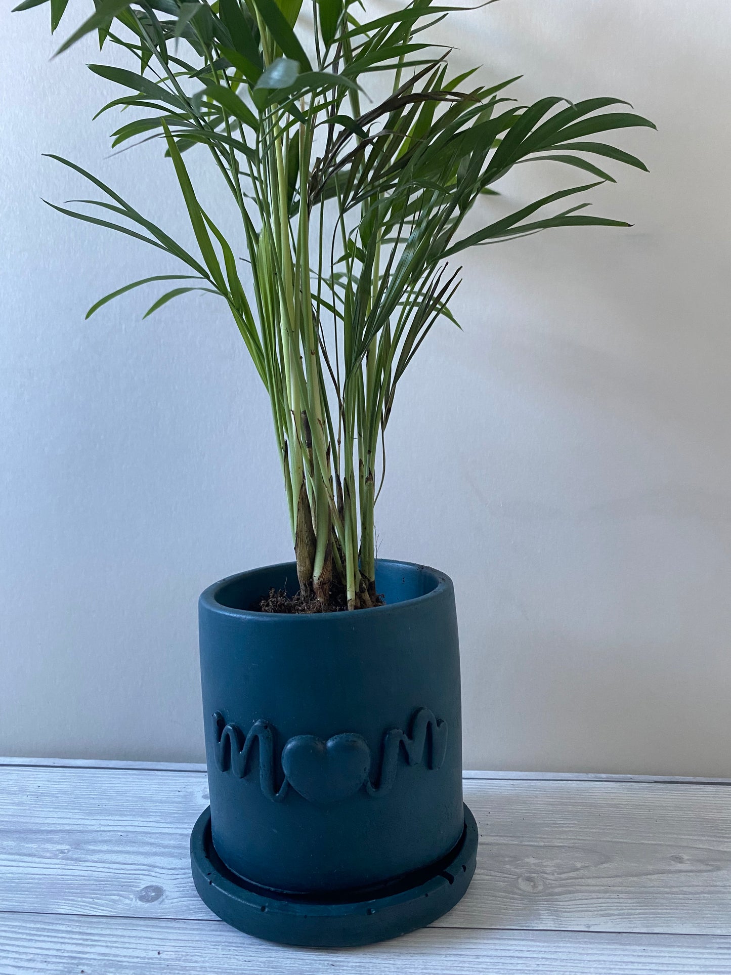 Funny planters For the best Mum Ever