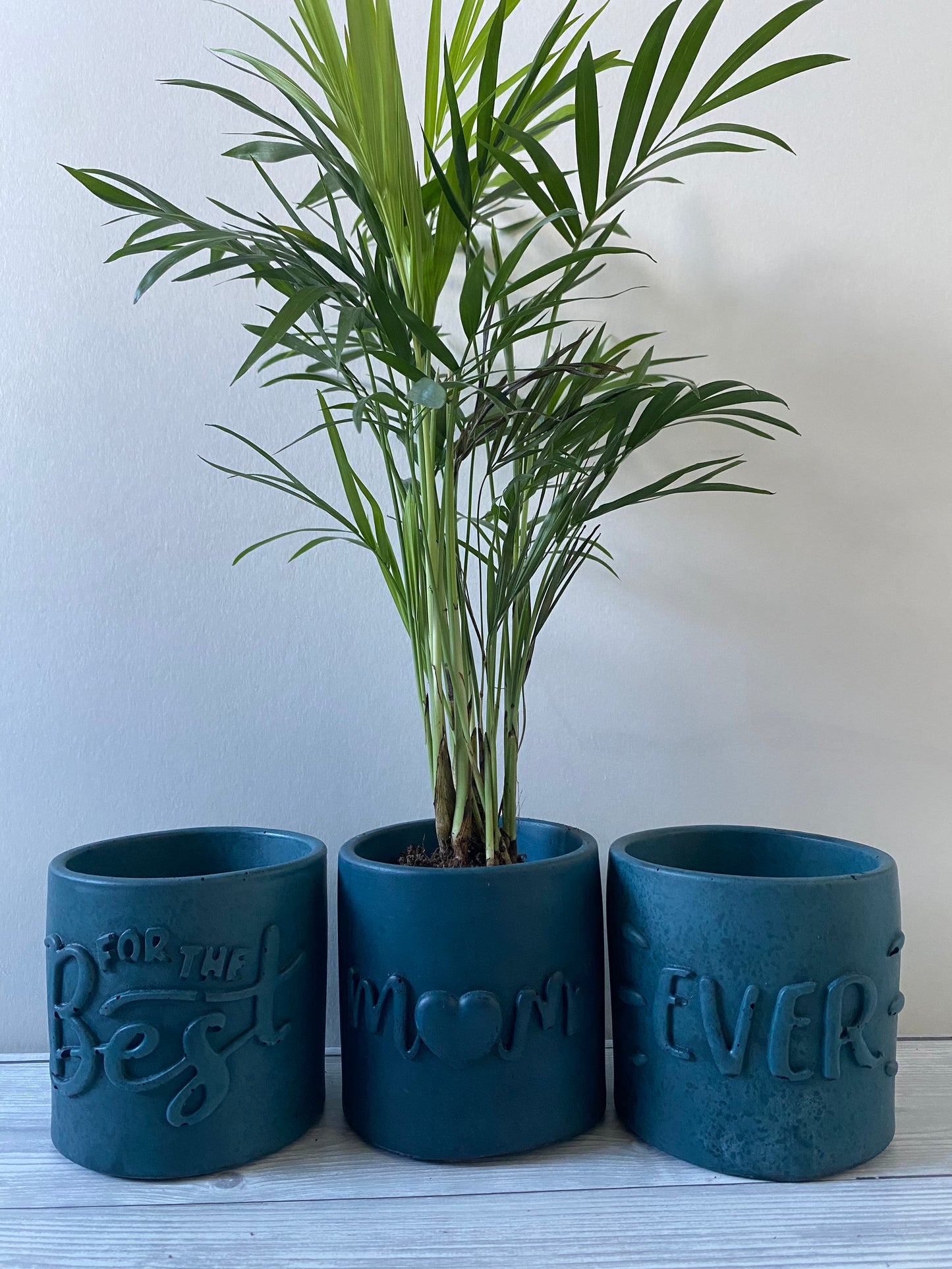 Funny planters For the best Mum Ever