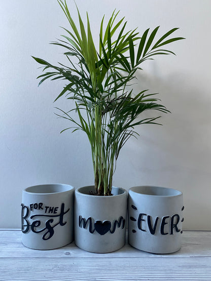 Funny planters For the best Mum Ever