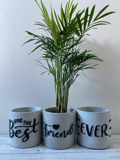 Funny planters For the best - Sister - Mum - Friend - Ever