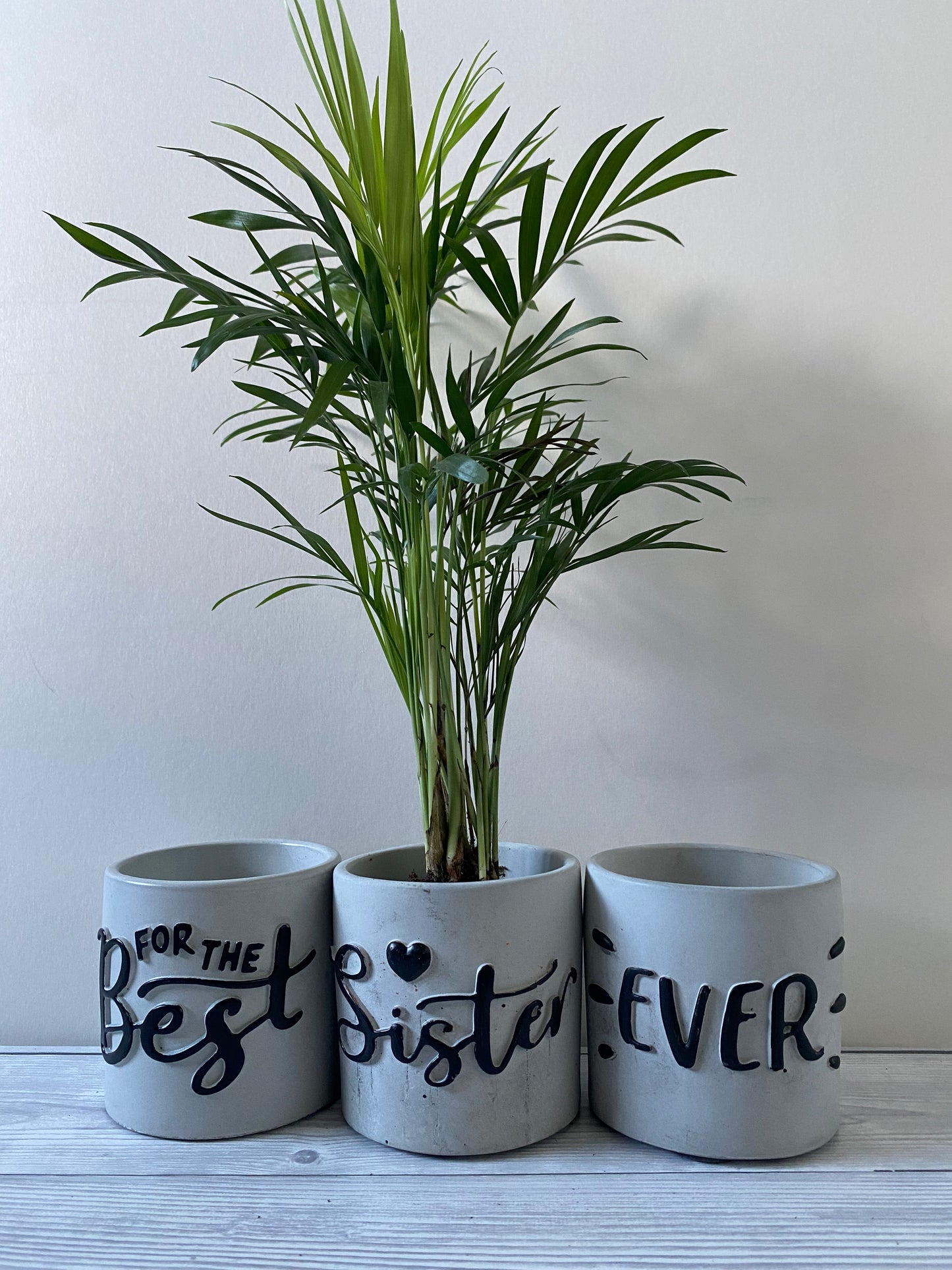 Funny planters For the best Sister Ever