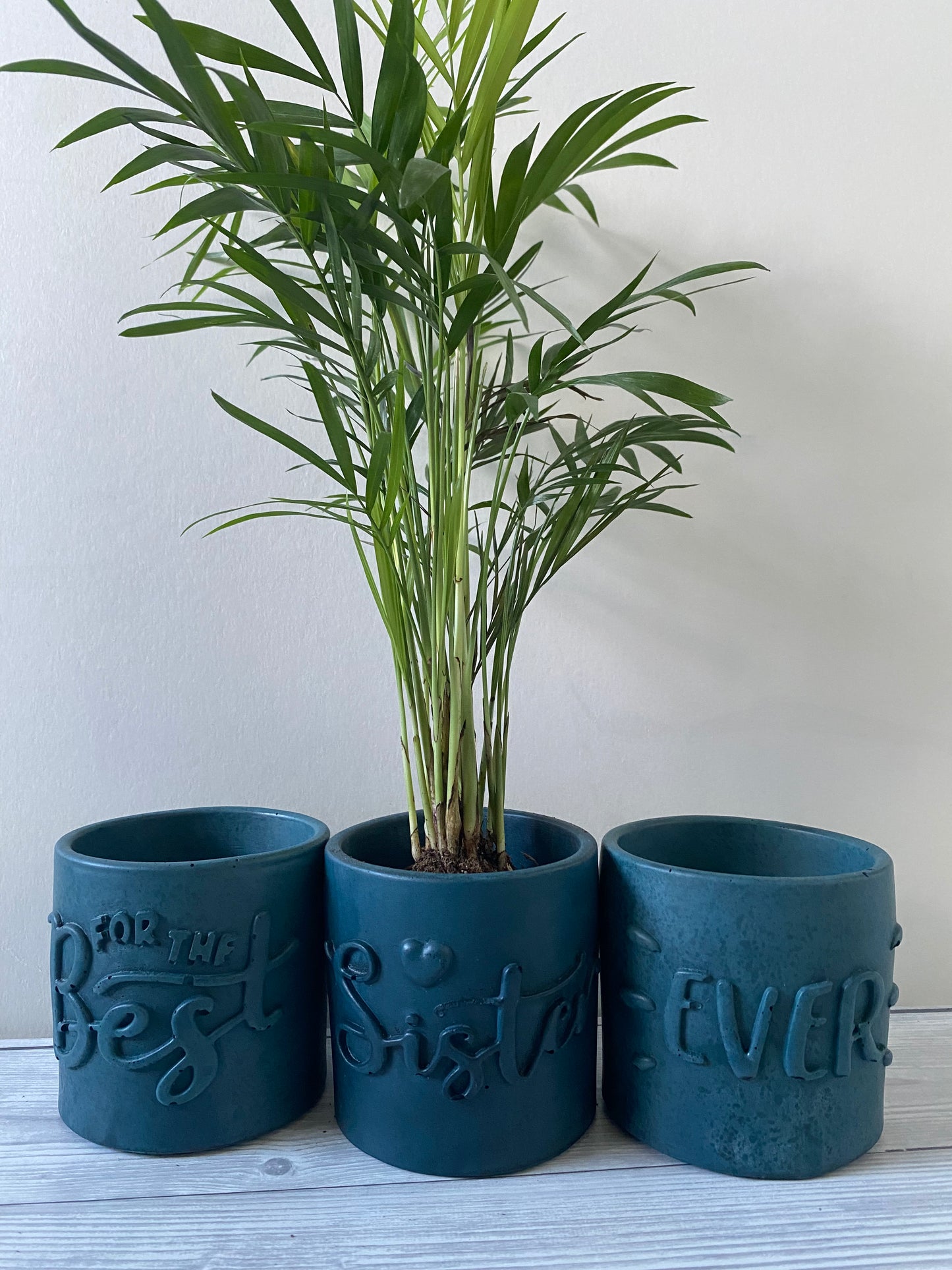 Funny planters For the best Sister Ever