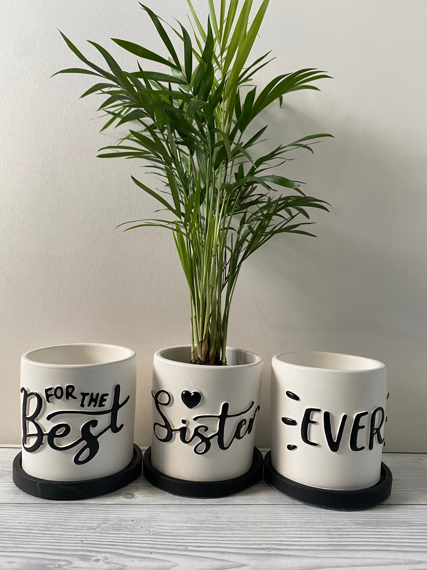 Funny planters For the best Sister Ever