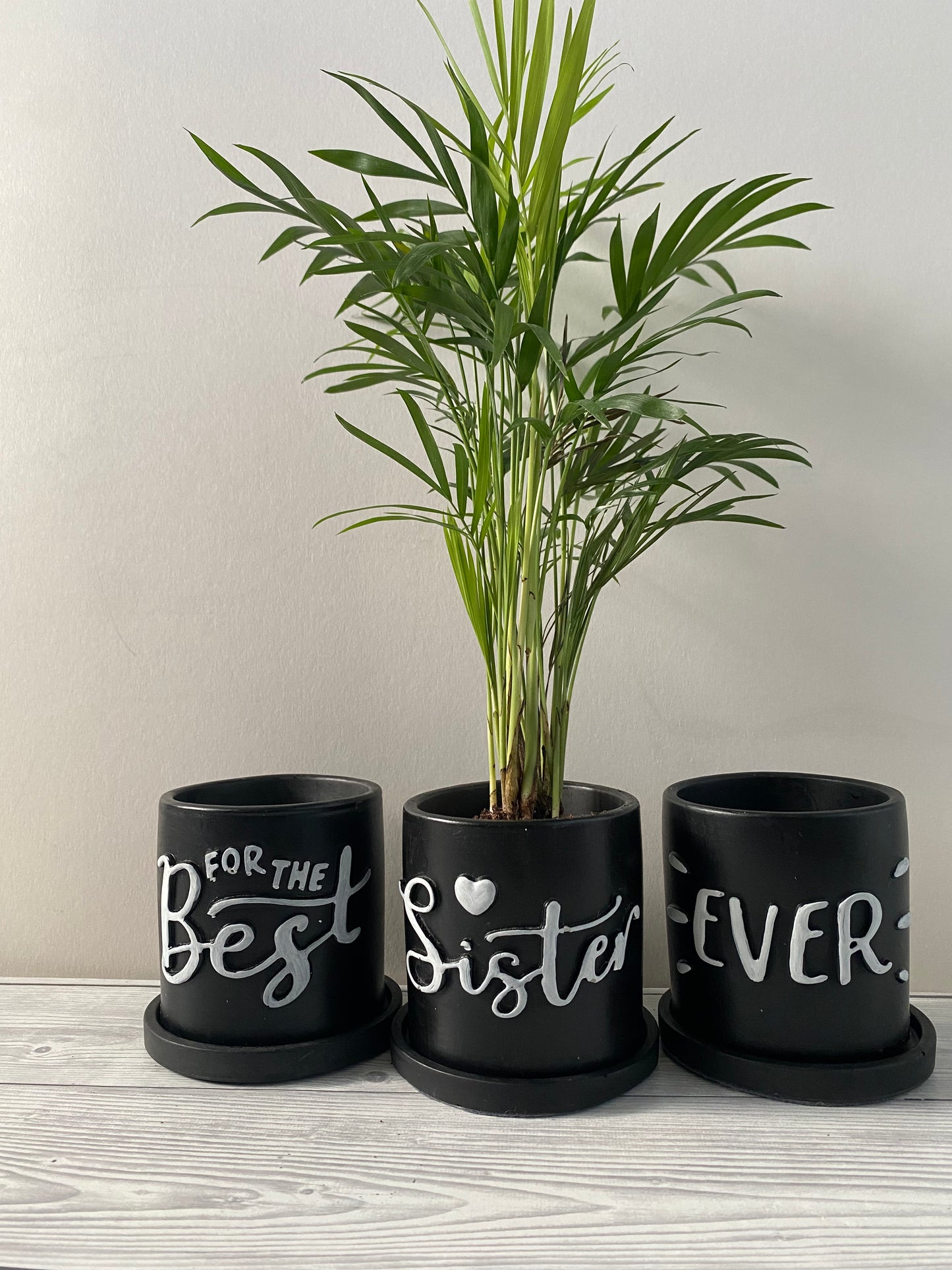 Funny planters For the best Sister Ever