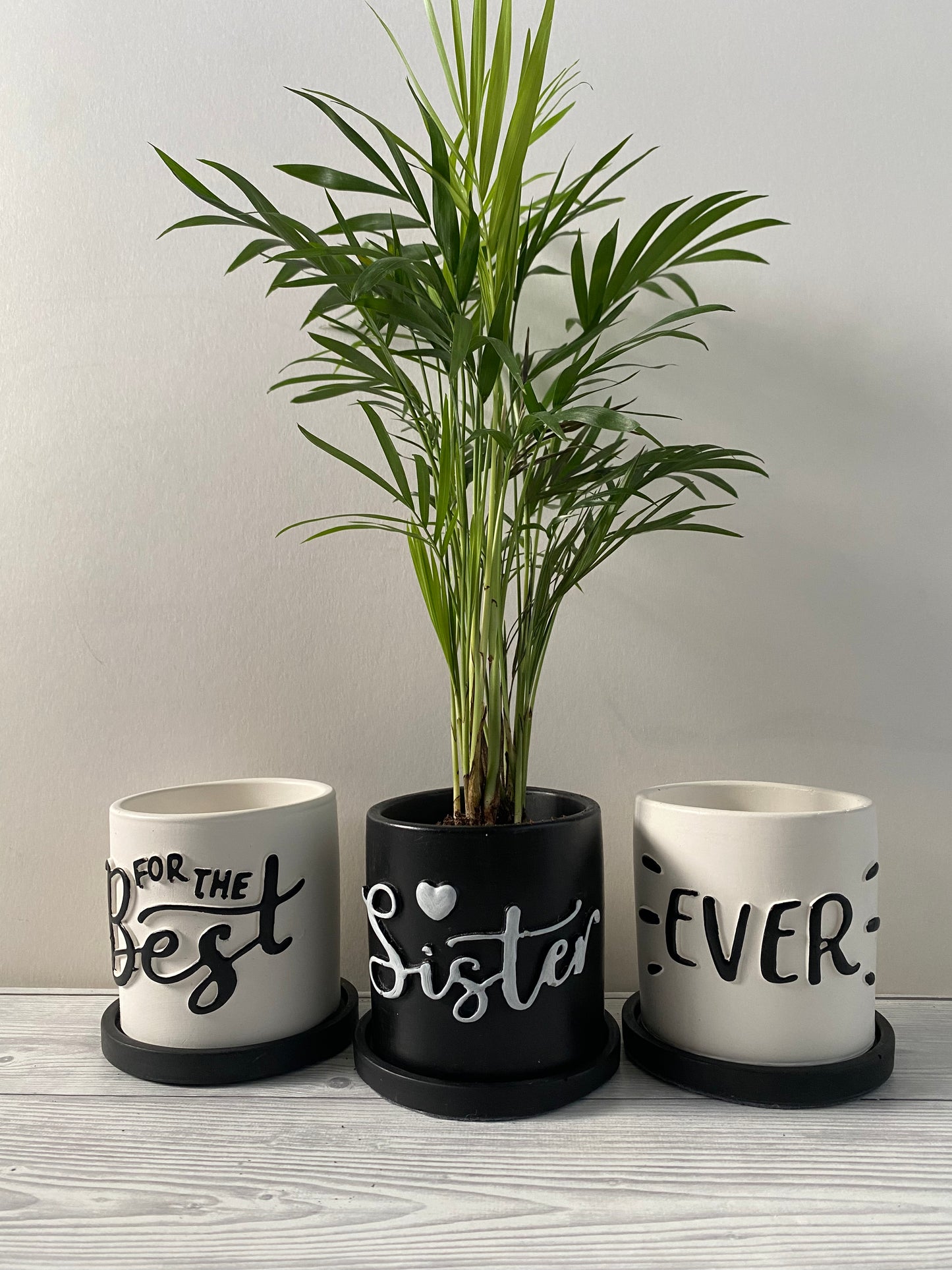 Funny planters For the best - Sister - Mum - Friend - Ever