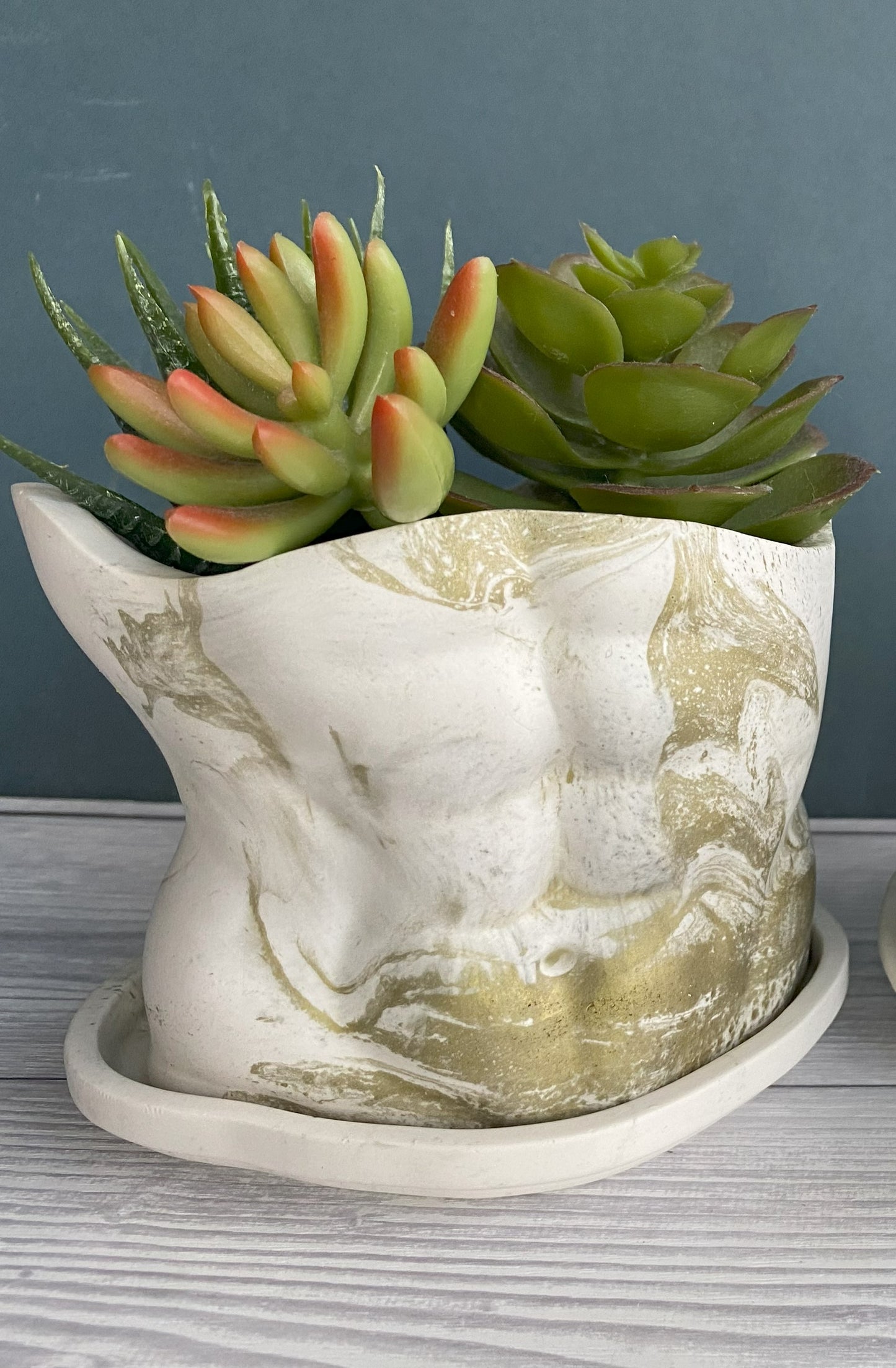 David’s body planter, male torso and butt planter pot