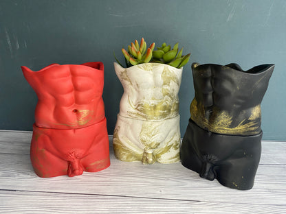 David’s body planter, male torso and butt planter pot