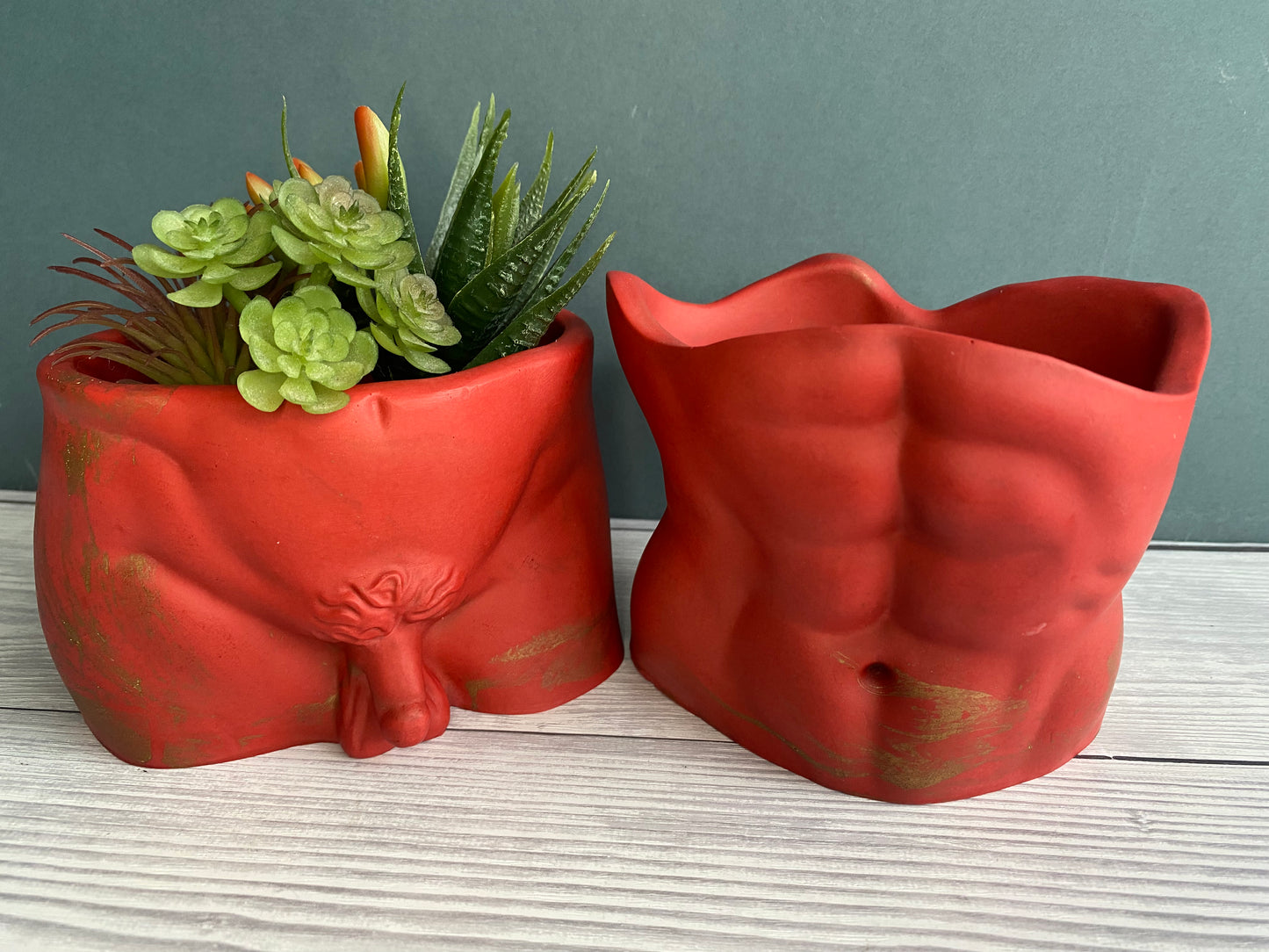 David’s body planter, male torso and butt planter pot