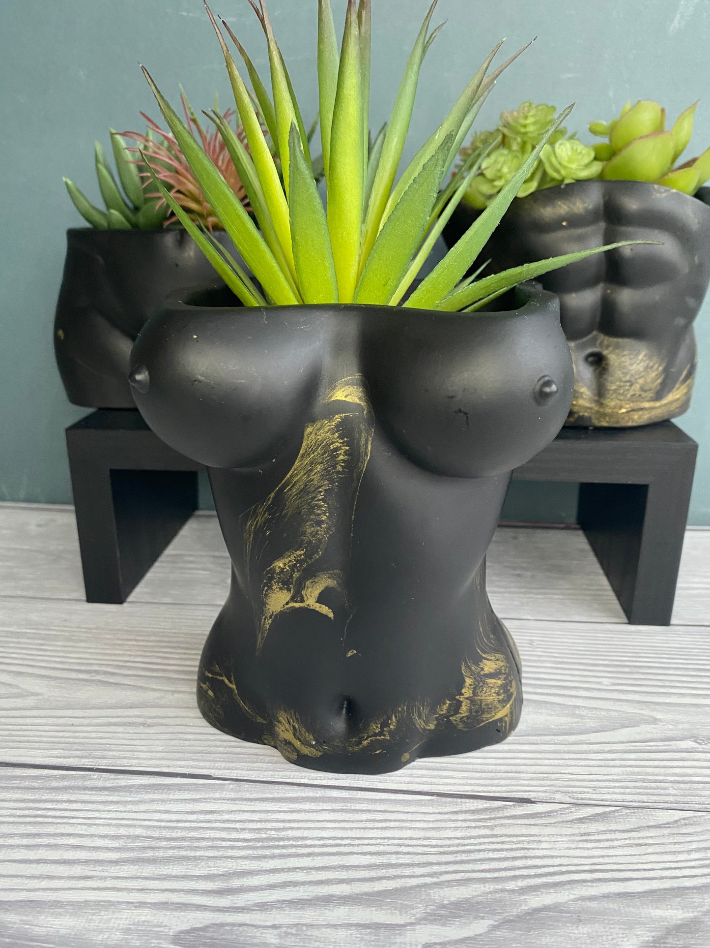 Woman sexy body planter, boobies planter pot