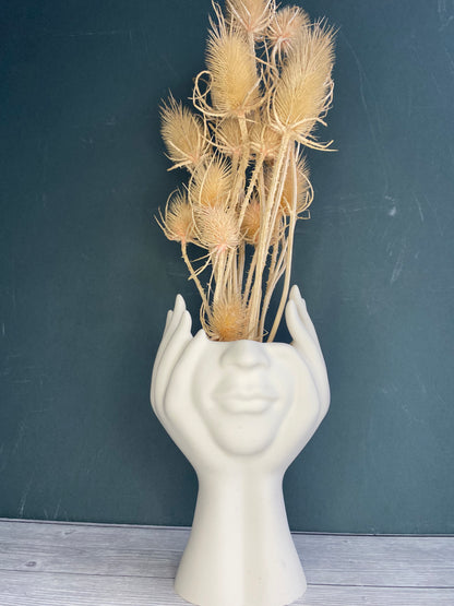 Woman face in hands vase