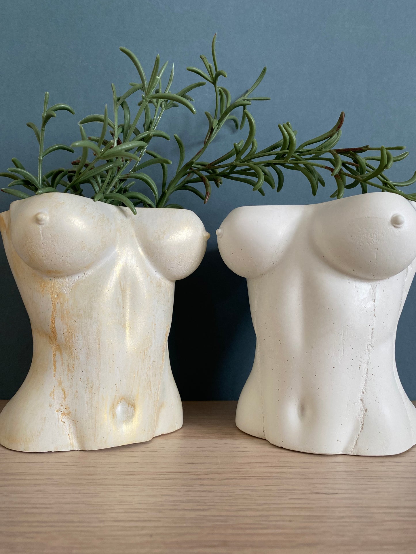 Woman sexy body planter, boobies planter pot