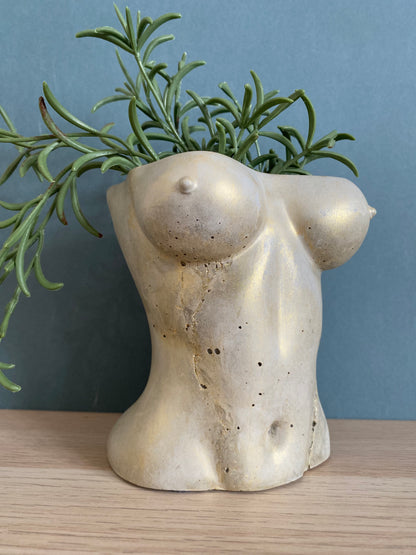 Woman sexy body planter, boobies planter pot