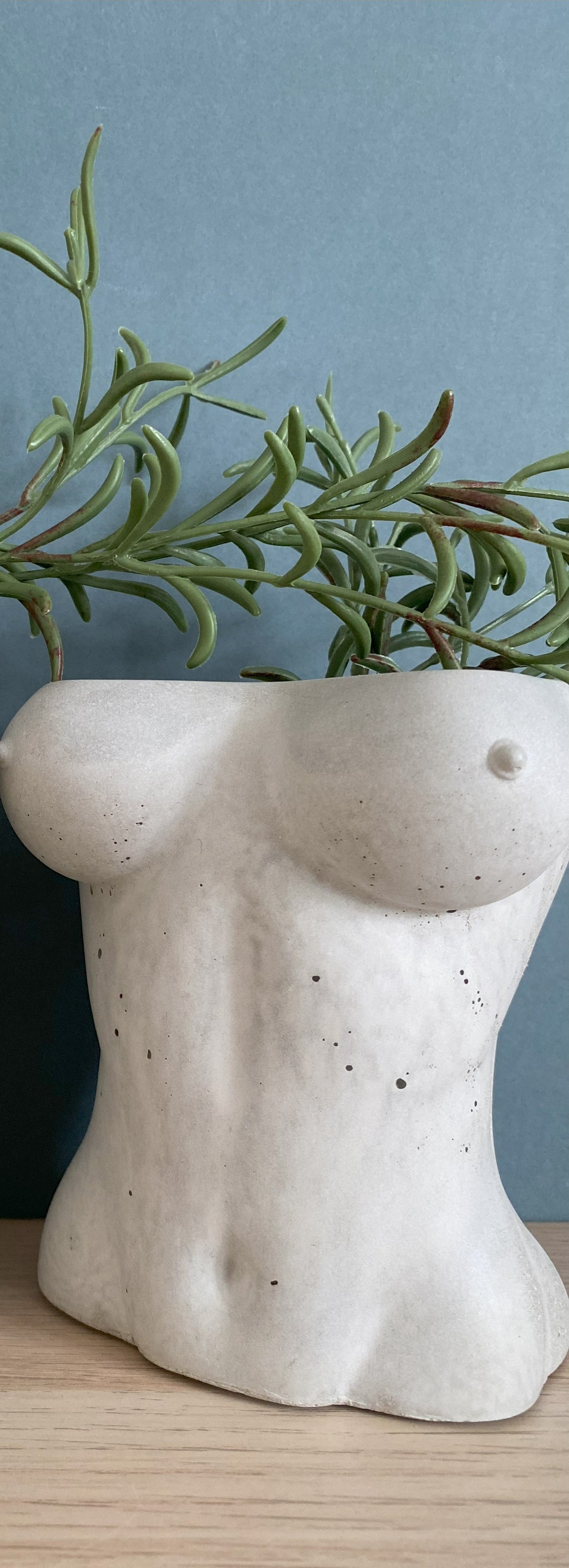 Woman sexy body planter, boobies planter pot