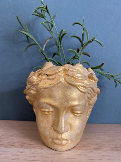 Angel face flower pot, goddess planter