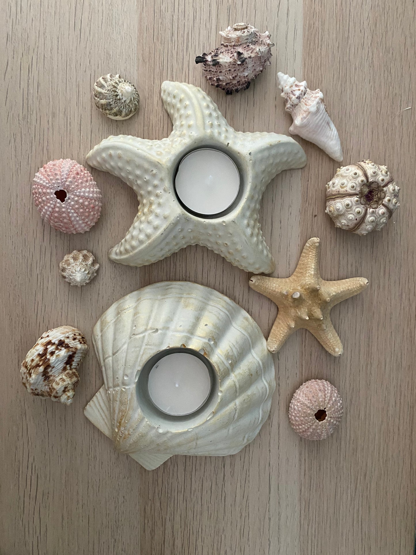 Starfish candle holder, tealight holder