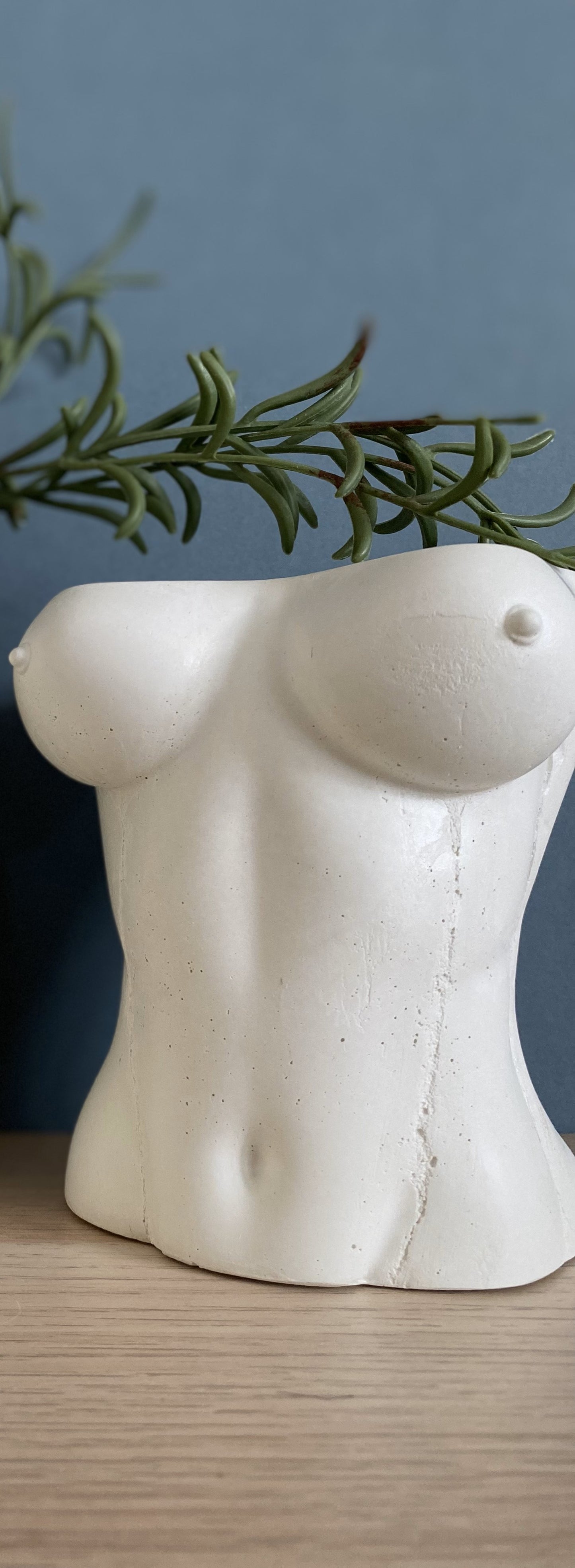 Woman sexy body planter, boobies planter pot