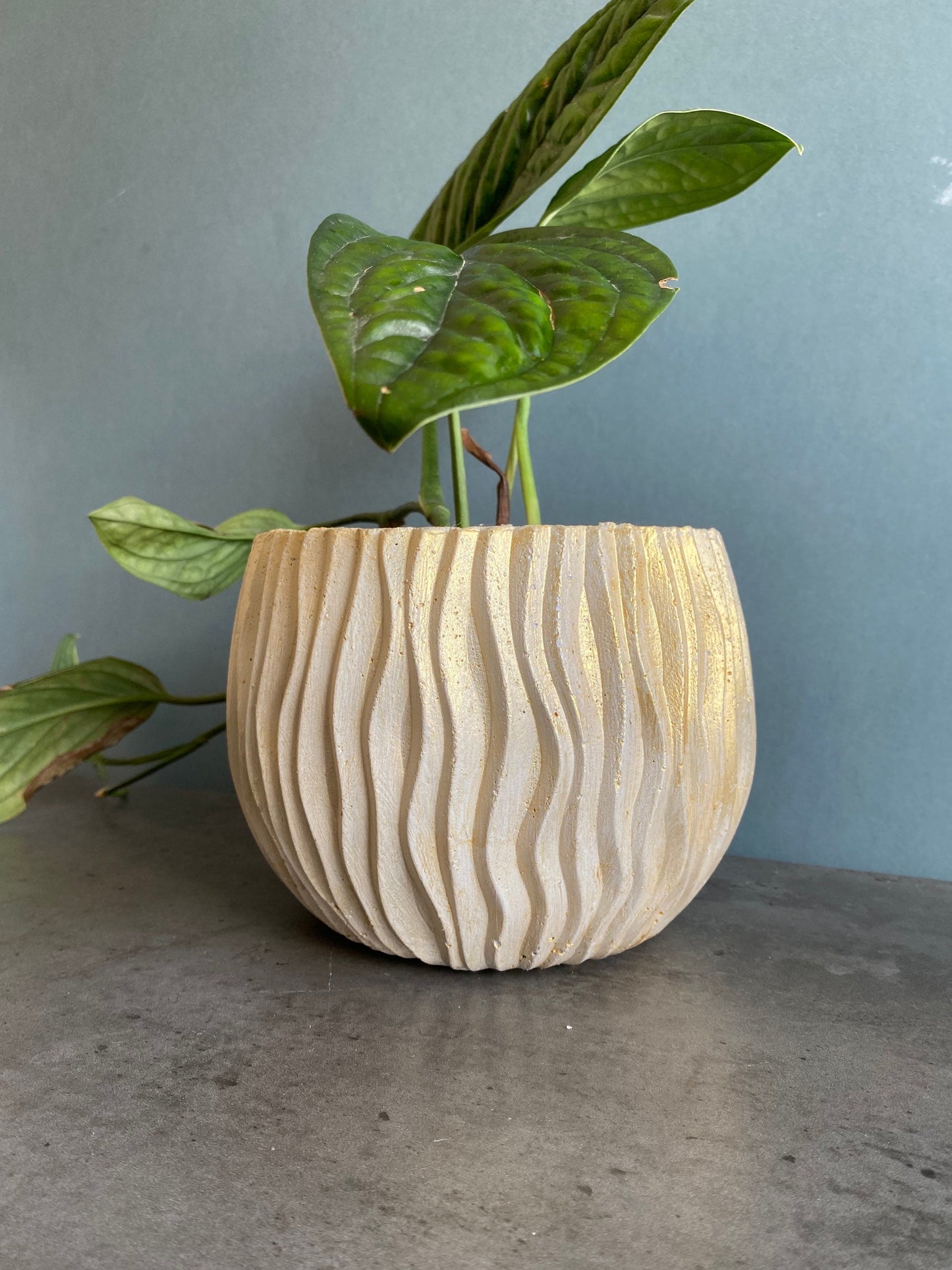 Wavy large concrete plant pot