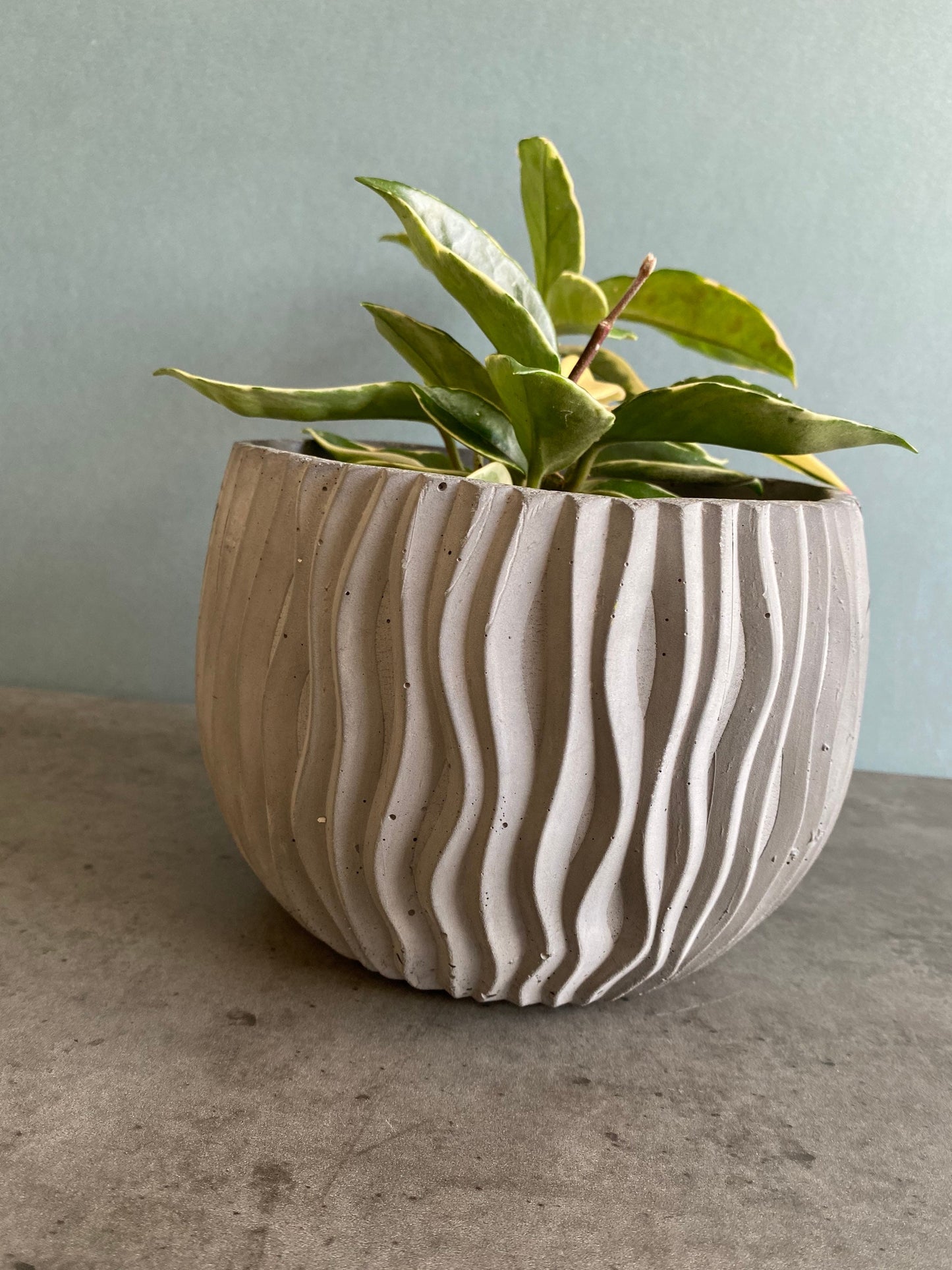 Wavy large concrete plant pot