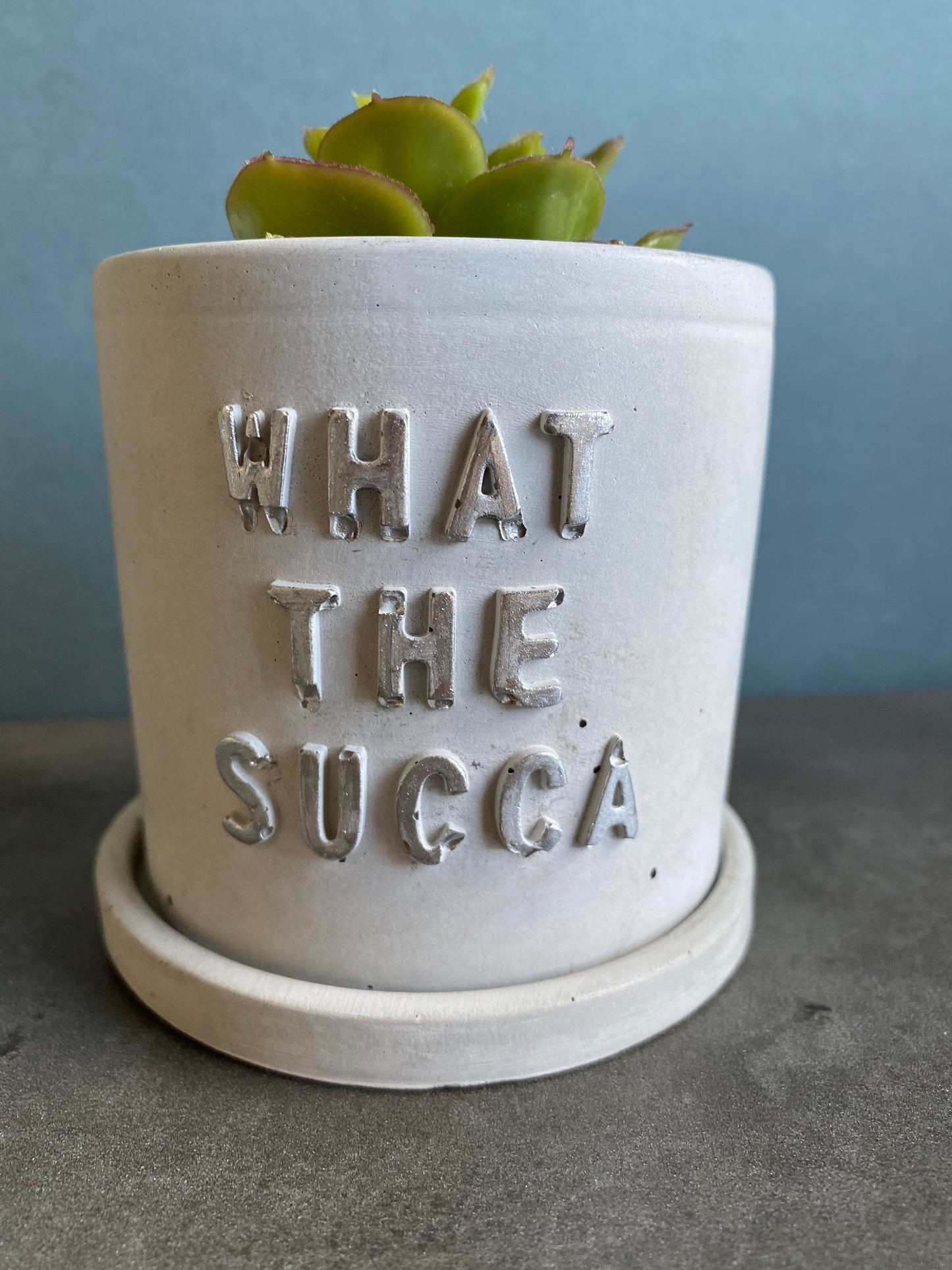 Funny message planter, concrete plant pots