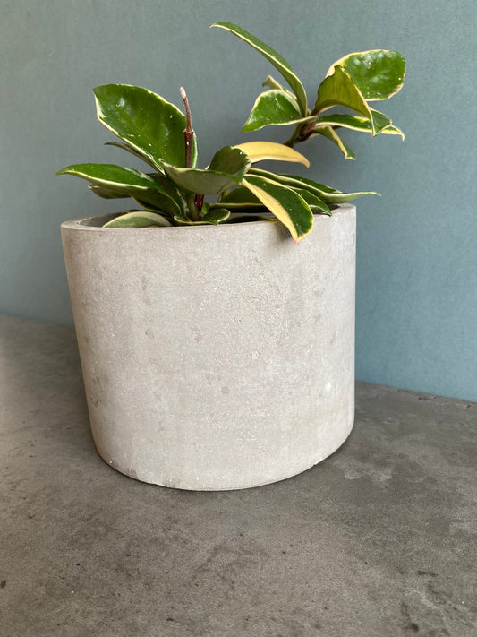 Round large concrete plant pot