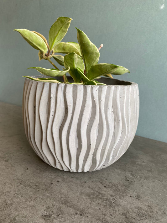 Wavy large concrete plant pot