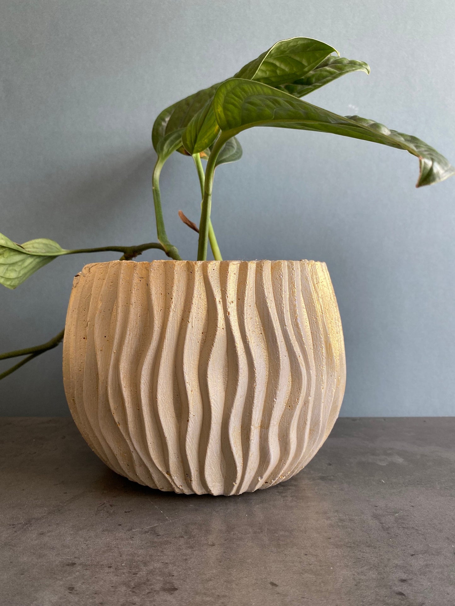 Wavy large concrete plant pot