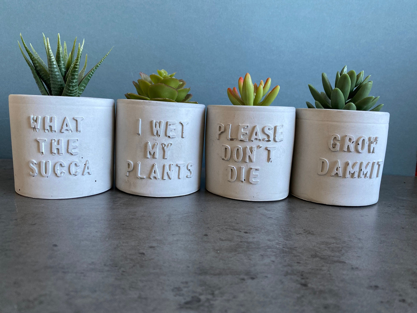 Funny message planter concrete plant pot