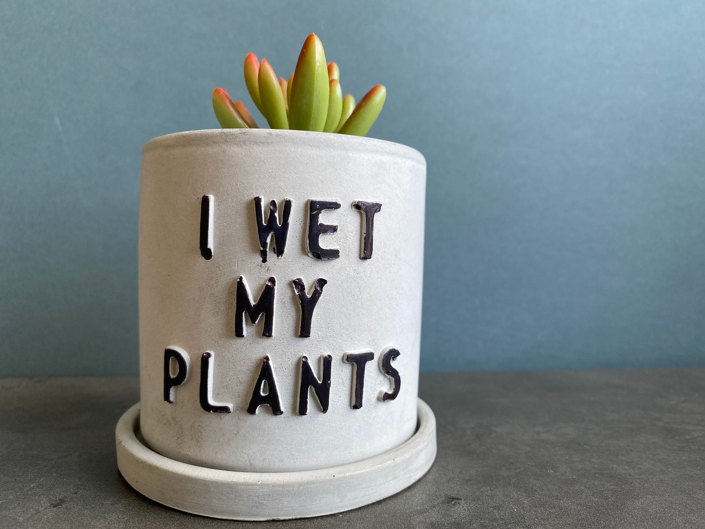 Funny message planter, concrete plant pots