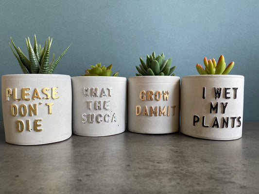 Funny message planter, concrete plant pots