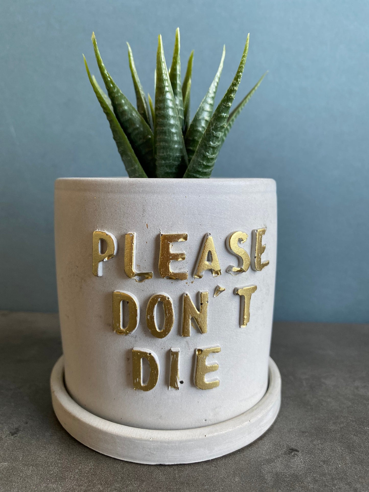 Funny message planter, concrete plant pots