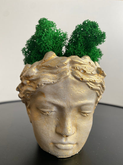 Angel face flower pot, goddess planter