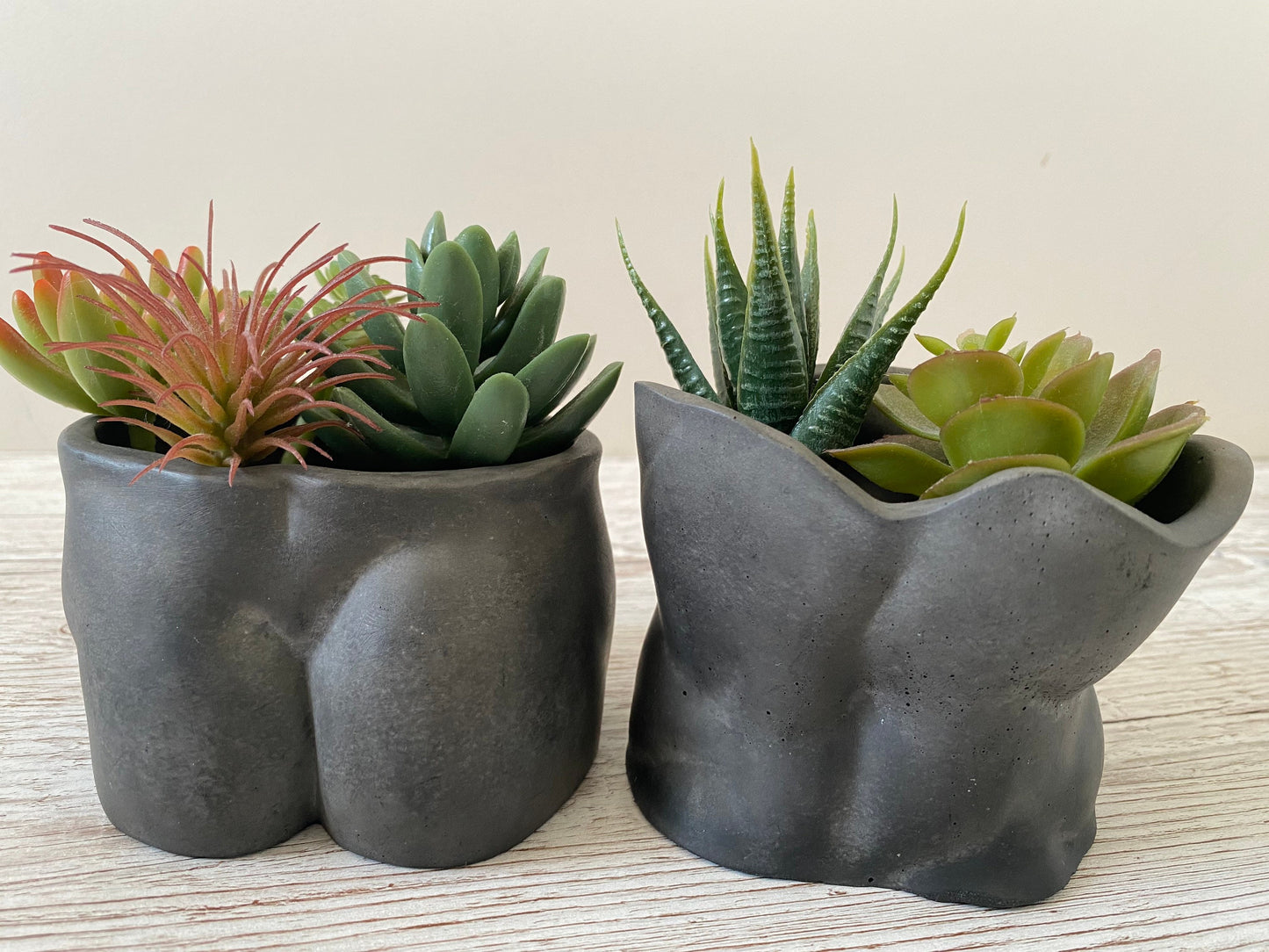 David’s body planter, male butt pot, man torso planters