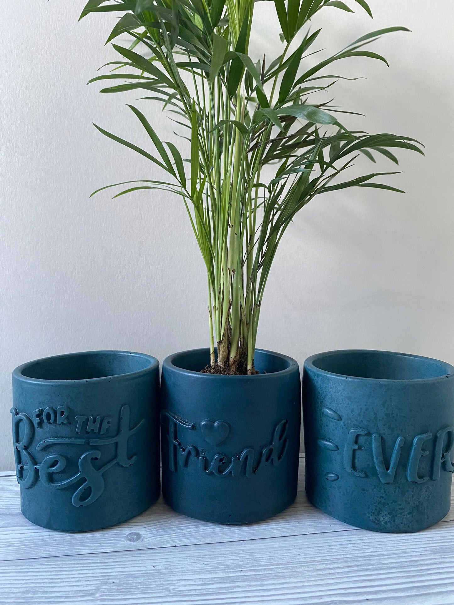 Funny planters For the best friend ever